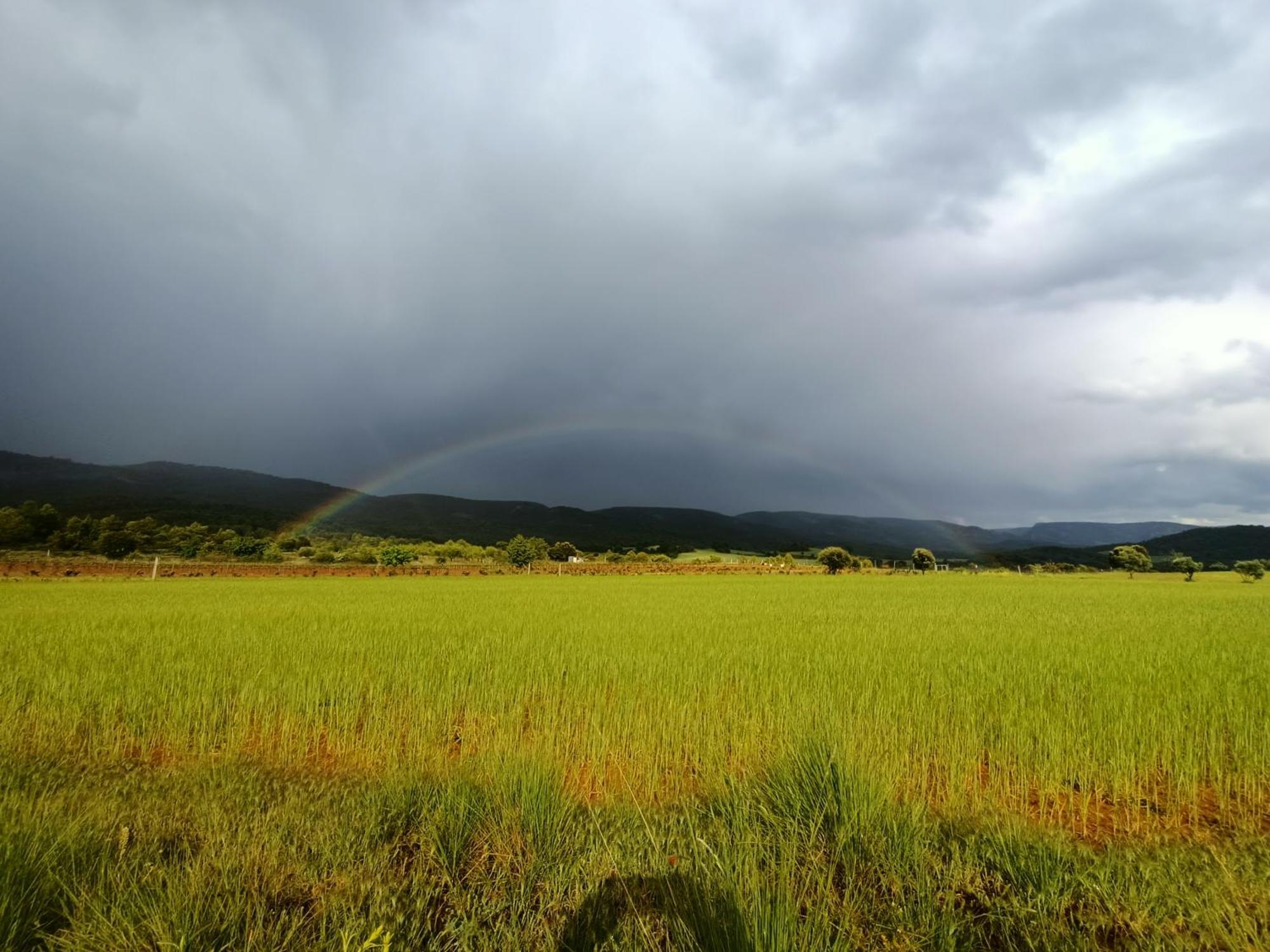 Alojamiento Rural El Cerro Fresneda de la Sierra Exterior foto