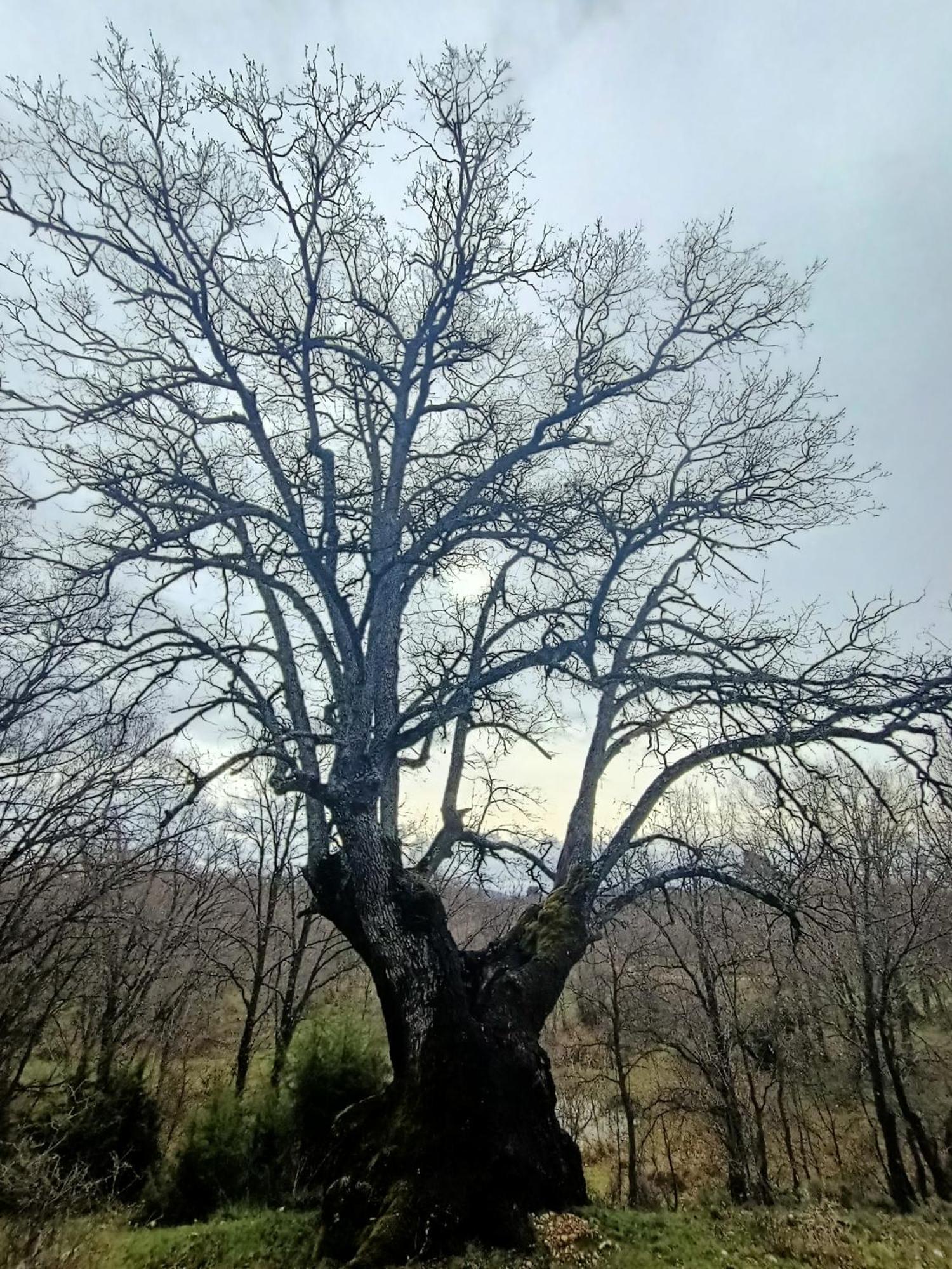 Alojamiento Rural El Cerro Fresneda de la Sierra Exterior foto